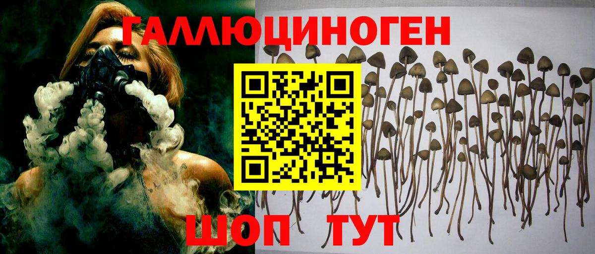 Москва  Галлюциногенные грибы Psilocybe  Вход с VPN 