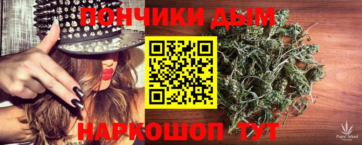 Бошки Шишки тримм  Марихуана план  Вход с VPN  Конопля THC 21%  Москва 